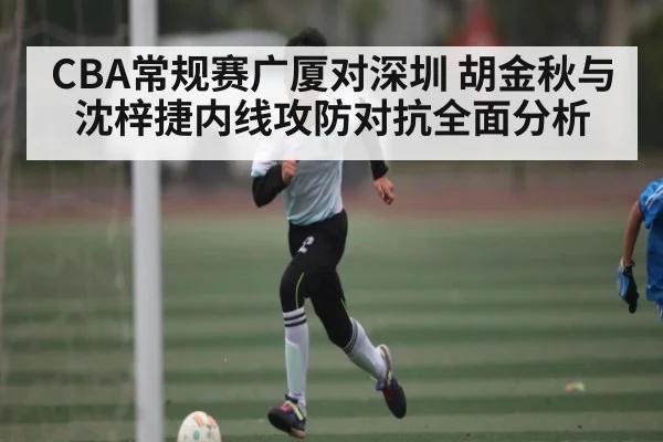 CBA常规赛广厦对深圳 胡金秋与沈梓捷内线攻防对抗全面分析
