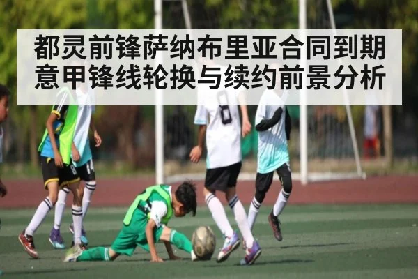 都灵前锋萨纳布里亚合同到期 意甲锋线轮换与续约前景分析